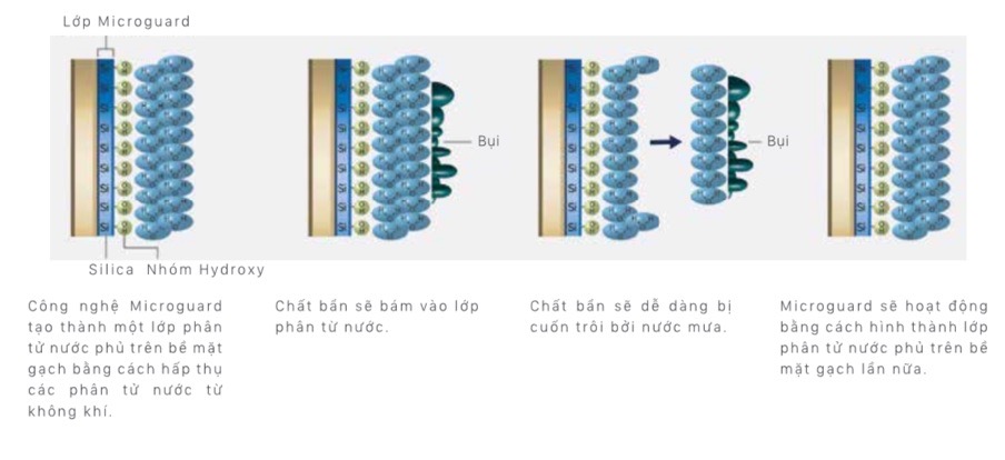 So sánh tường ốp gạch INAX MicroGuard và tường sơn bị mốc