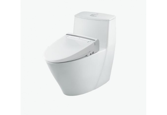 Bồn Cầu 1 Khối Kết Hợp Nắp Rửa Điện Tử AC-919R+CW-KB22AVN