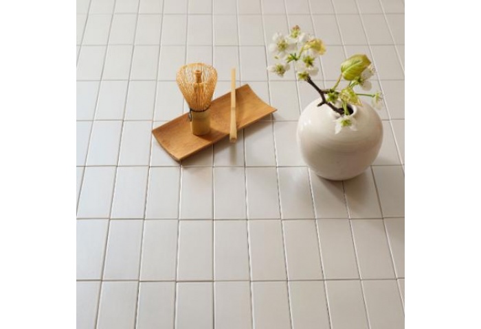 SLC-Shijyu Luster Color