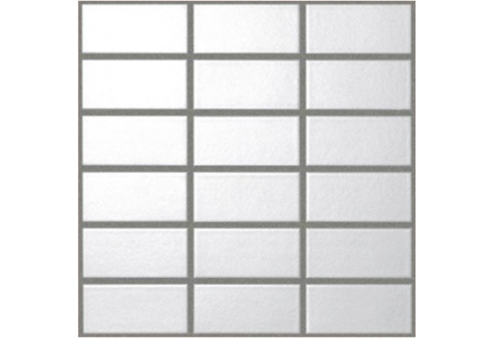 SLC-Shijyu Luster Color