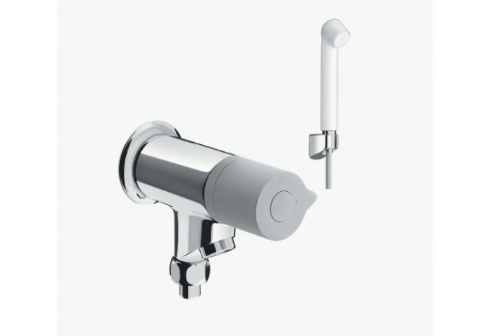 Sen Vòi Đơn BFV-10