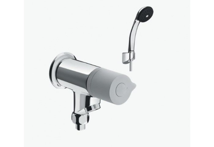 Sen Vòi Đơn BFV-10-2C